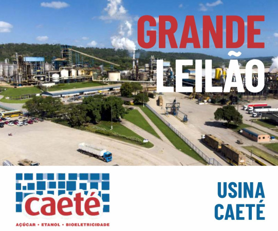 Grande Leilão Caeté 2025